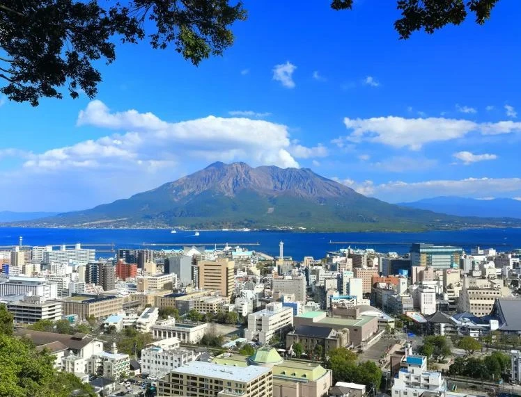 鹿児島市で理想の土地を見つける