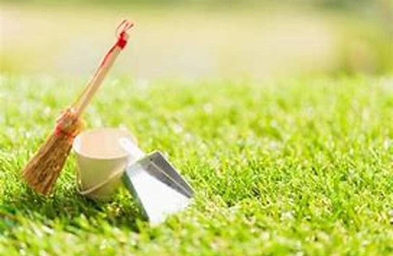 購入希望の方が見学に来る前にやっておきたいこと